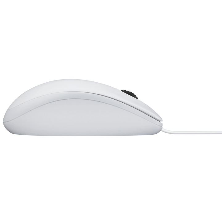Logitech B100 rato Escritório Ambidestro USB Type-A Ótico 800 DPI