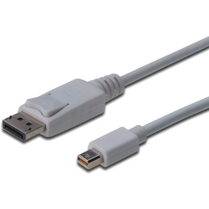 Digitus ASSMANN Mini DisplayPort / DisplayPort  Connection Cable 