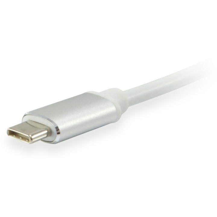 EQUIP Adaptador USB C Male to DVI-I Dual Link Female