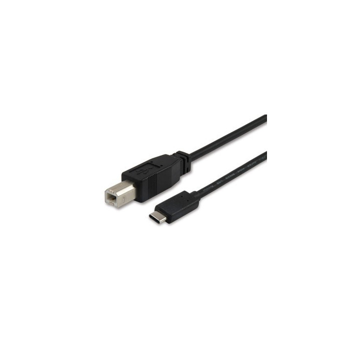 Equip USB 2.0 Cable B--C M/M 1,0m Type C 