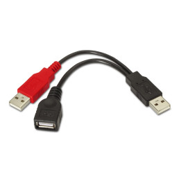 AISENS A101-0030 cabo USB 0,15 m 2.0 2 x USB A USB A Preto, Vermelho